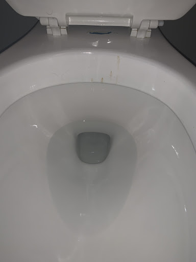 House Cleaning Service «Molly Maid of Central Charlotte and Cabarrus County», reviews and photos, 6620 E W.T. Harris Blvd, Charlotte, NC 28215, USA