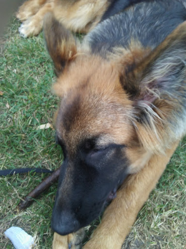 Park «Touhy Park», reviews and photos, 7348 N Paulina St, Chicago, IL 60626, USA