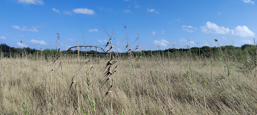 Park «Harlingen Thicket», reviews and photos, 311 E Tyler Ave, Harlingen, TX 78550, USA