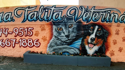 Veterinária Talita em Mauá - SP