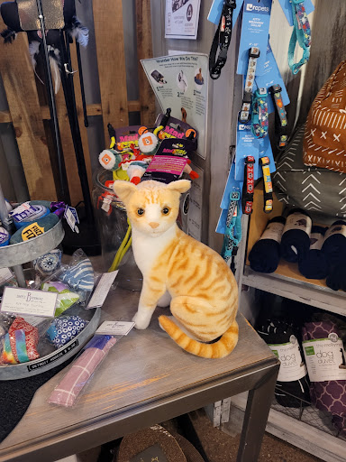 Pet Supply Store «3 Dogs 1 Cat», reviews and photos, 2472 Riopelle St, Detroit, MI 48207, USA