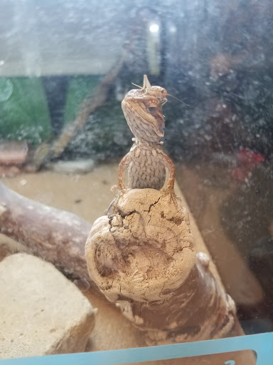 Pet Supply Store «PetSmart», reviews and photos, 1121 S Plaza Way, Flagstaff, AZ 86001, USA