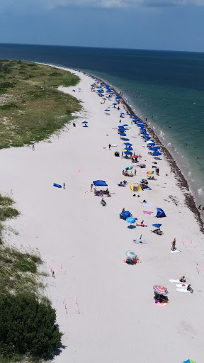 Park «Lummus Park», reviews and photos, Ocean Dr, Miami Beach, FL 33139, USA