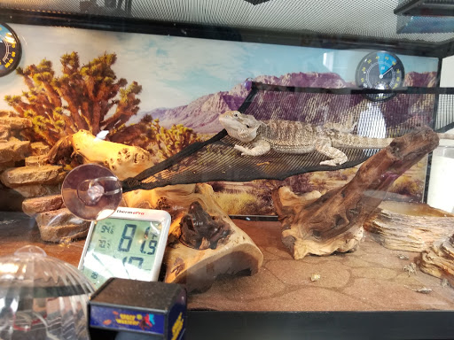 Tropical Fish Store «J B Tropical Fish», reviews and photos, 1950 N Black Horse Pike, Williamstown, NJ 08094, USA