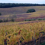 Photo n°5 de l'avis de Franco.a fait le 09/11/2021 à 19:04 sur le  Borgo San Felice Resort Relais & Chateaux à Castelnuovo Berardenga