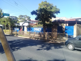 Colegio Danés