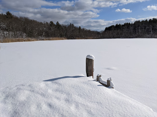 Hiking Area «Stony Brook Reservation», reviews and photos, Turtle Pond Pkwy, Hyde Park, MA 02136, USA
