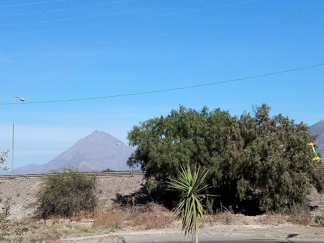Opiniones de Plaza Punta De Torrejón en Hijuelas - Camping
