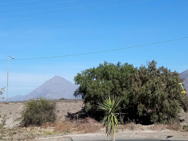 Comentarios y opiniones de Plaza Punta De Torrejón