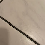 Photo n°5 de l'avis de Roy.c fait le 04/02/2024 à 12:57 sur le  Altstadtperle Apartments Dresden à Dresden