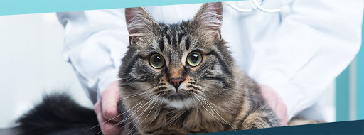 3971 S Main St, Mineral Ridge, OH 44440, USA