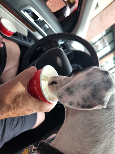 Fast Food Restaurant «Chick-fil-A», reviews and photos, 15055 Airline Hwy, Baton Rouge, LA 70817, USA