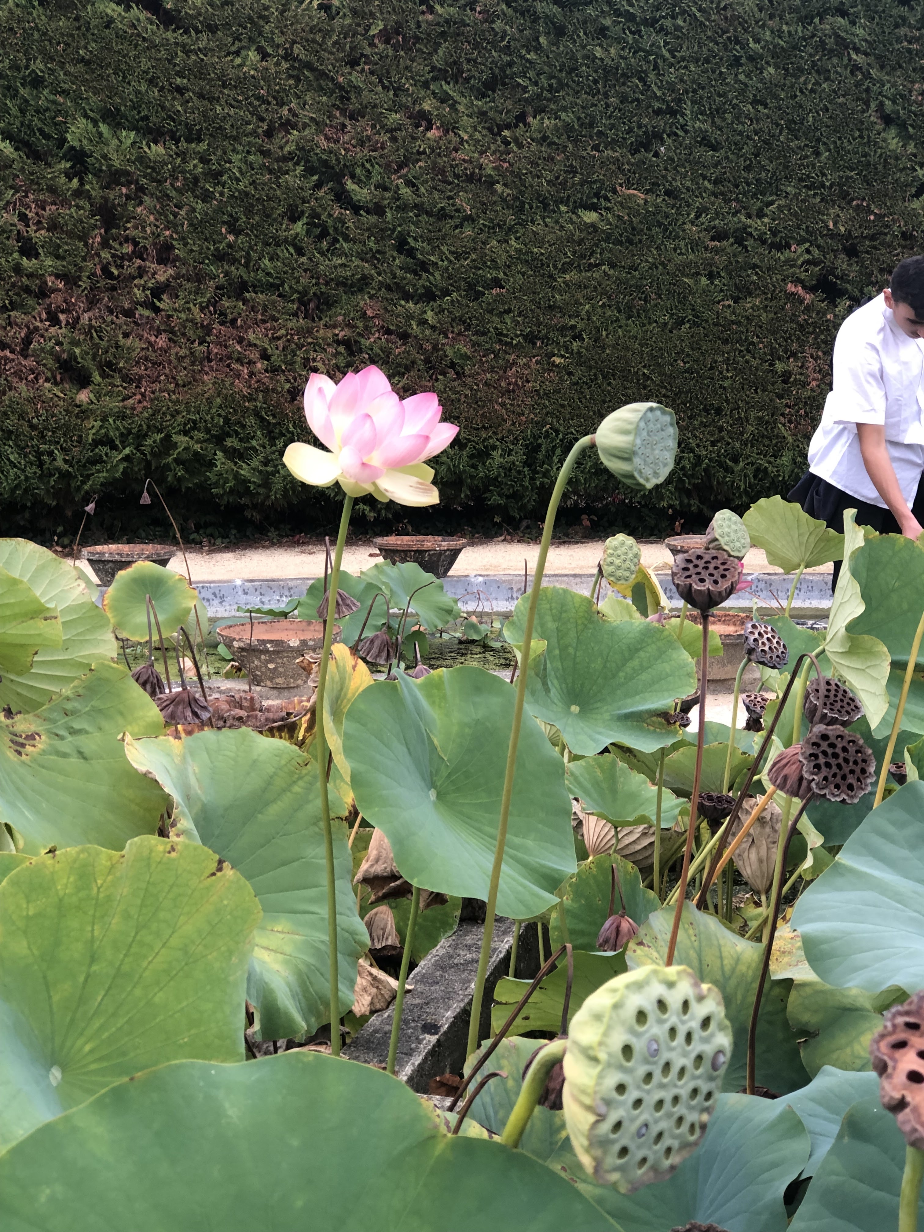 Photo n° 8 de l'avis de Helene.h fait le 24/09/2022 à 16:38