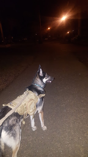 Park «Mt. Scott Park», reviews and photos, SE 72nd Ave & Southeast Harold Street, Portland, OR 97206, USA