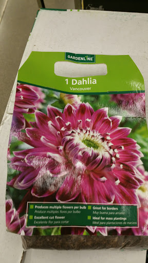 Supermarket «ALDI», reviews and photos, 14620 Greyhound Plaza, Carmel, IN 46032, USA