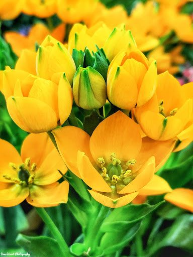 Home Improvement Store «The Home Depot», reviews and photos, 56 Myrick St, Ellsworth, ME 04605, USA