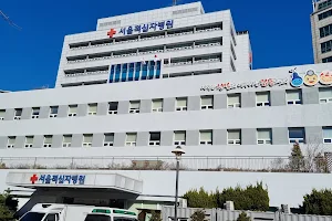 Seoul Red Cross Hospital image