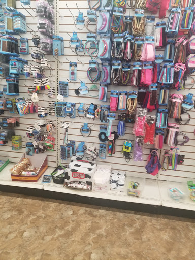 Dollar Store «Dollar Tree», reviews and photos, 58 Swansea Mall Dr, Swansea, MA 02777, USA