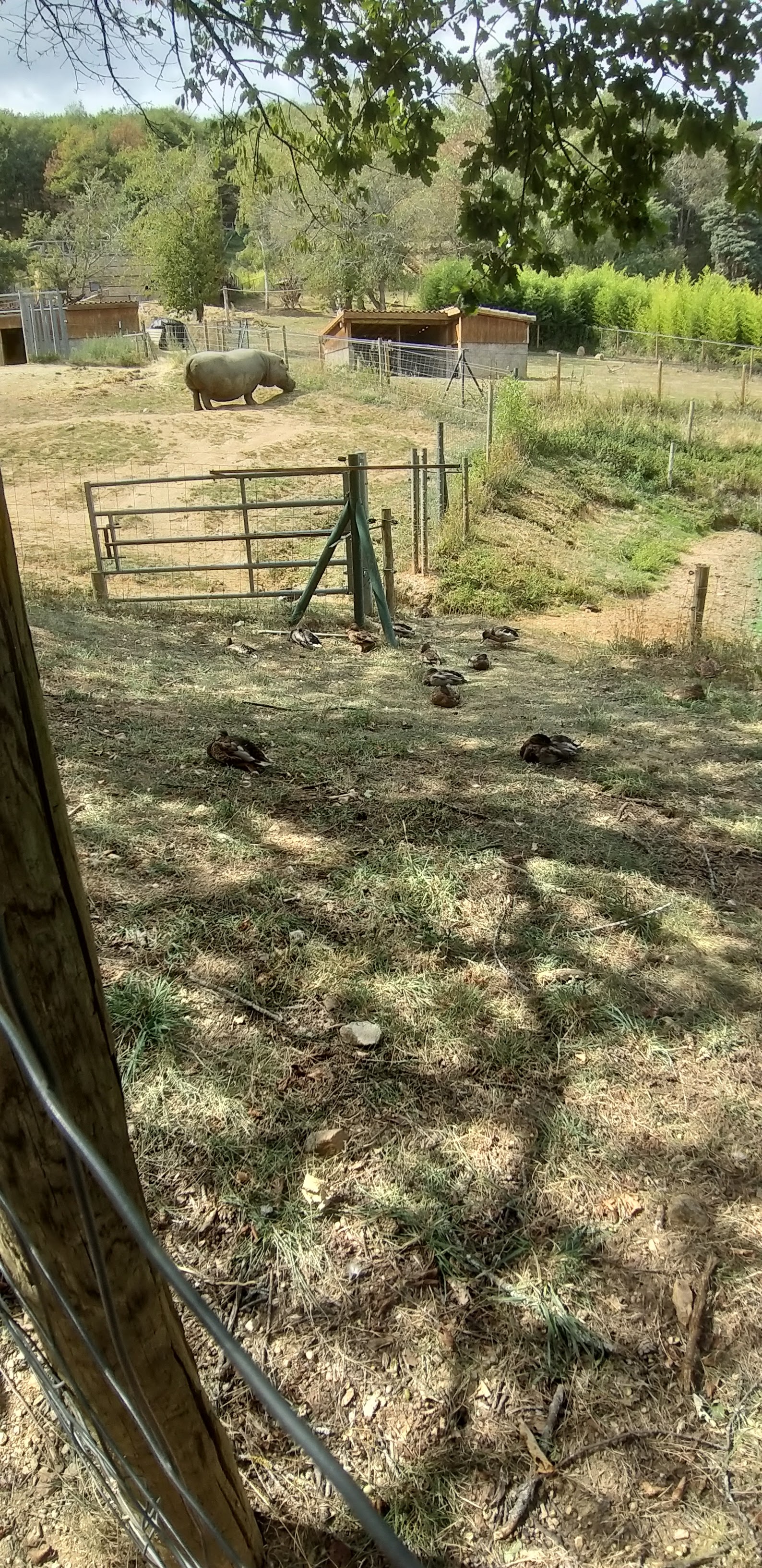 Photo n° 47 de l'avis de unmecdesannees80. fait le 08/09/2019 à 03:14