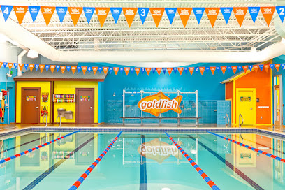 Goldfish Swim School - Dayton
