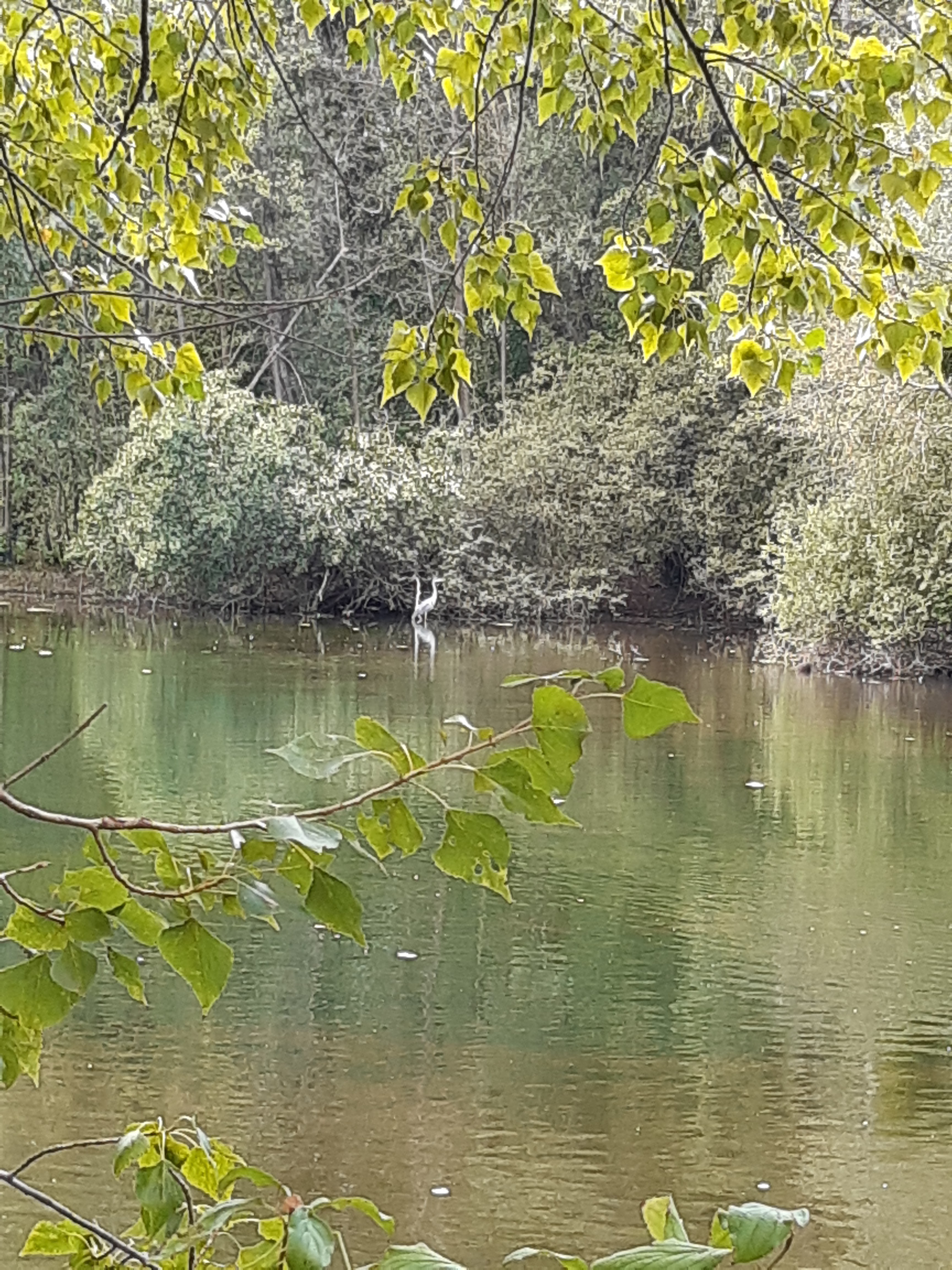 Photo n° 4 de l'avis de Tina.. fait le 08/09/2019 à 11:30
