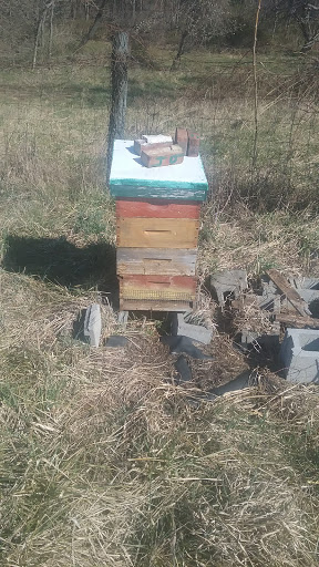 Historical Place «The Kernstown Battlefield», reviews and photos, 610 Battle Park Dr, Winchester, VA 22601, USA