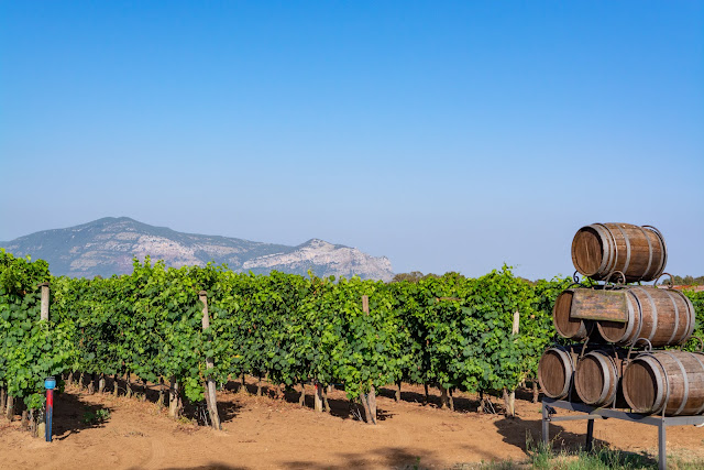 Wine Tours Provence
