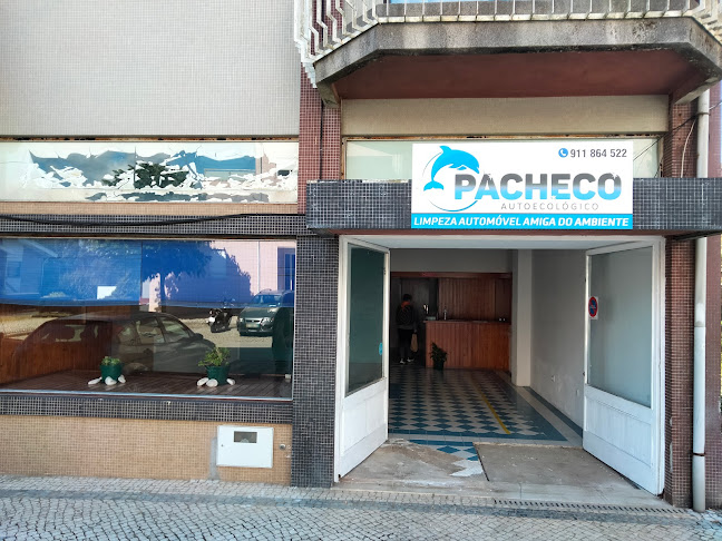 PachecoAutoEcologico