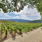 Photo n°1 de l'avis de Amaro. fait le 21/09/2020 à 14:42 sur le  Quinta da Pacheca à Lamego