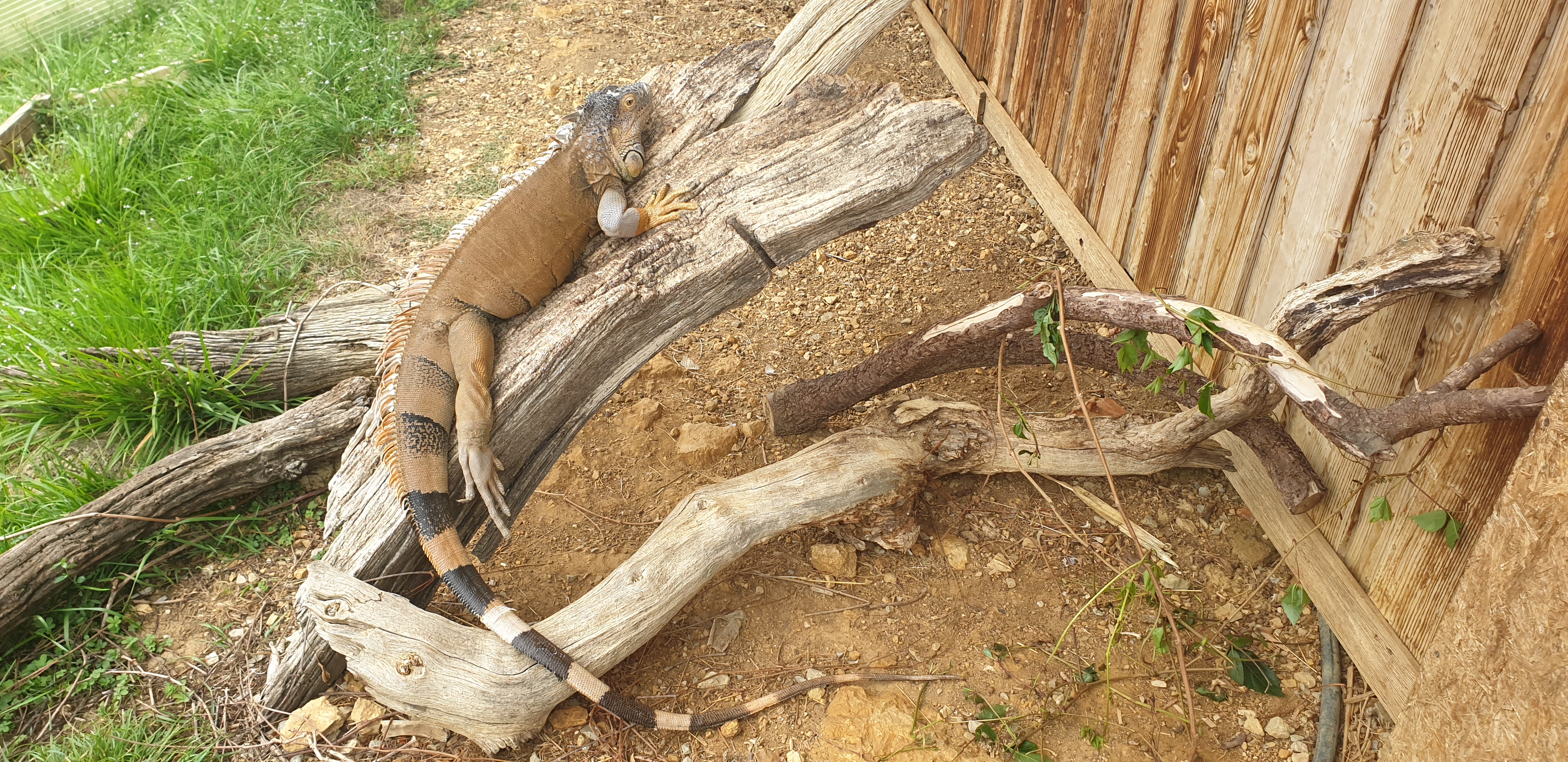 Photo n° 2 de l'avis de Solange. fait le 15/08/2021 à 14:15
