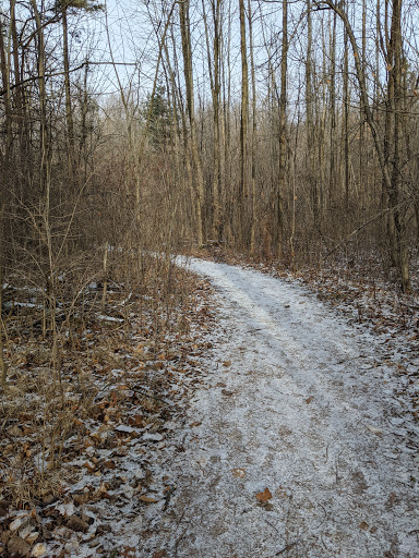 Nature Preserve «Scio Woods Preserve», reviews and photos, Scio Church Rd, Ann Arbor, MI 48103, USA