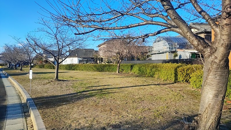 桜の小径公園