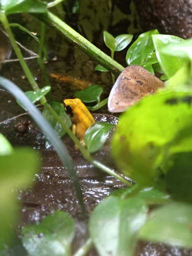 Pet Store «The Pet Works», reviews and photos, 407 4th Ave E, Olympia, WA 98501, USA