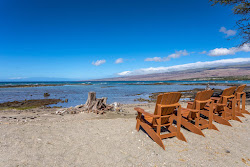 Puako Bay Beach'in fotoğrafı geniş bir kıyı şeridi ile birlikte