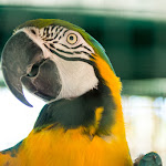 Photo n°2 de l'avis de Monica.a fait le 21/08/2019 à 19:12 sur le  Resort & SPA Le Dune à Li Junchi