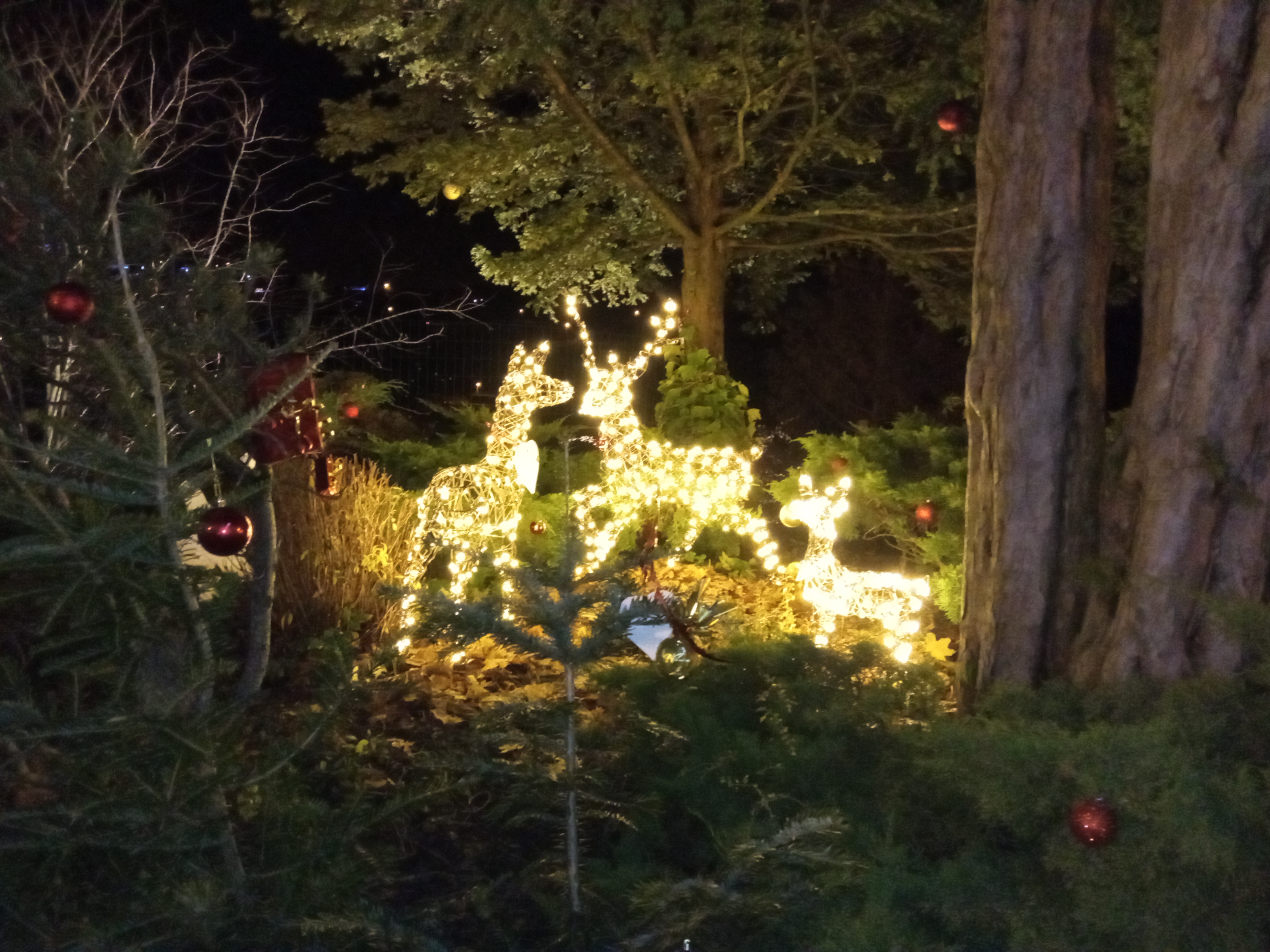 Photo n° 4 de l'avis de Sylvain.a fait le 12/12/2021 à 20:12