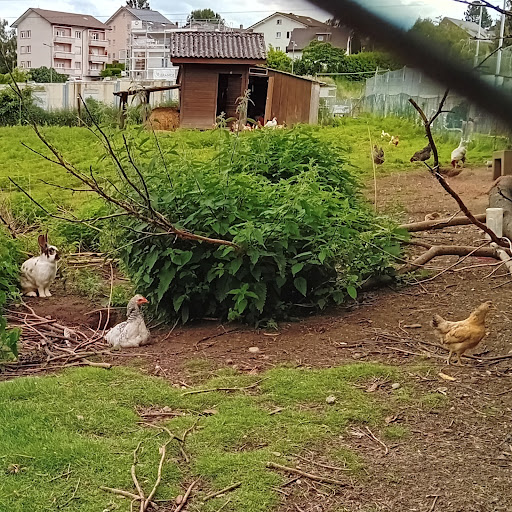 site_photo1