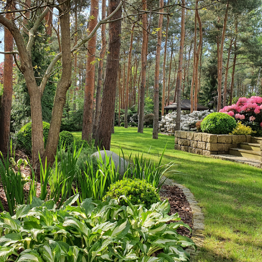 Projekty i zakładanie ogrodów. Kompleksowe usługi GORDO STUDIO