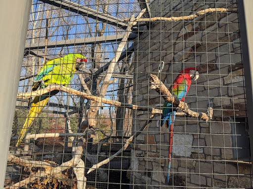 Tourist Attraction «Tracy Aviary», reviews and photos, 589 1300 S, Salt Lake City, UT 84105, USA