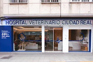 HOSPITAL VETERINARIO CIUDAD REAL. CENTRO DE ESPECIALIDADES image