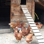 Photo n°3 de l'avis de Paolo.a fait le 29/07/2018 à 22:07 sur le  Ristoro Val Alpisella à Livigno