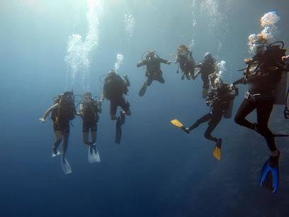 Marines Diving Club