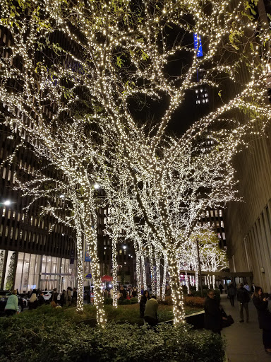 Performing Arts Theater «Radio City Music Hall», reviews and photos, 1260 6th Ave, New York, NY 10020, USA