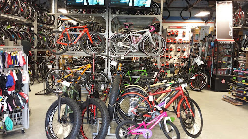 Bicycle Store «Big Wheel Bicycles USA, Inc», reviews and photos, 7035 Taft St, Hollywood, FL 33024, USA