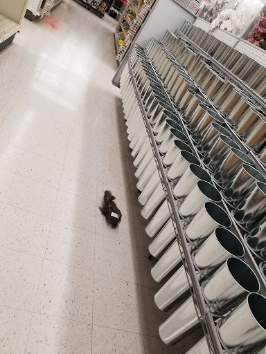 Craft Store «Michaels», reviews and photos, 1205 Coolidge Hwy, Troy, MI 48084, USA