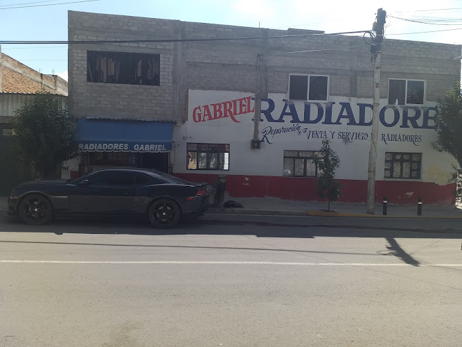 RADIADORES GABRIEL