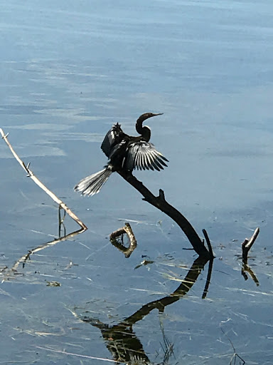 Art Museum «Cornell Fine Arts Museum», reviews and photos, 1000 Holt Ave, Winter Park, FL 32789, USA