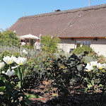 Photo n°5 de l'avis de Cornelia. fait le 22/04/2019 à 22:21 sur le  The Cottage - Tea Room à Berlin