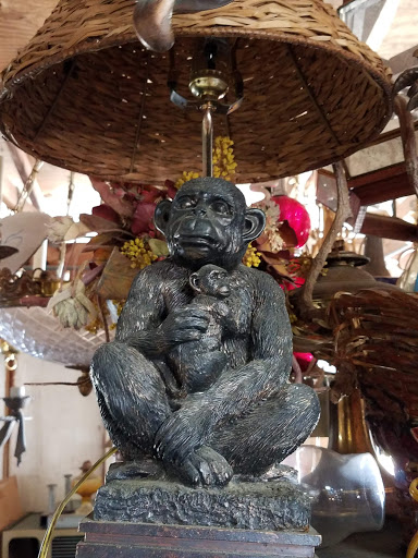 Flea Market «Gunn Highway Flea Market», reviews and photos, 2317 Gunn Hwy, Odessa, FL 33556, USA