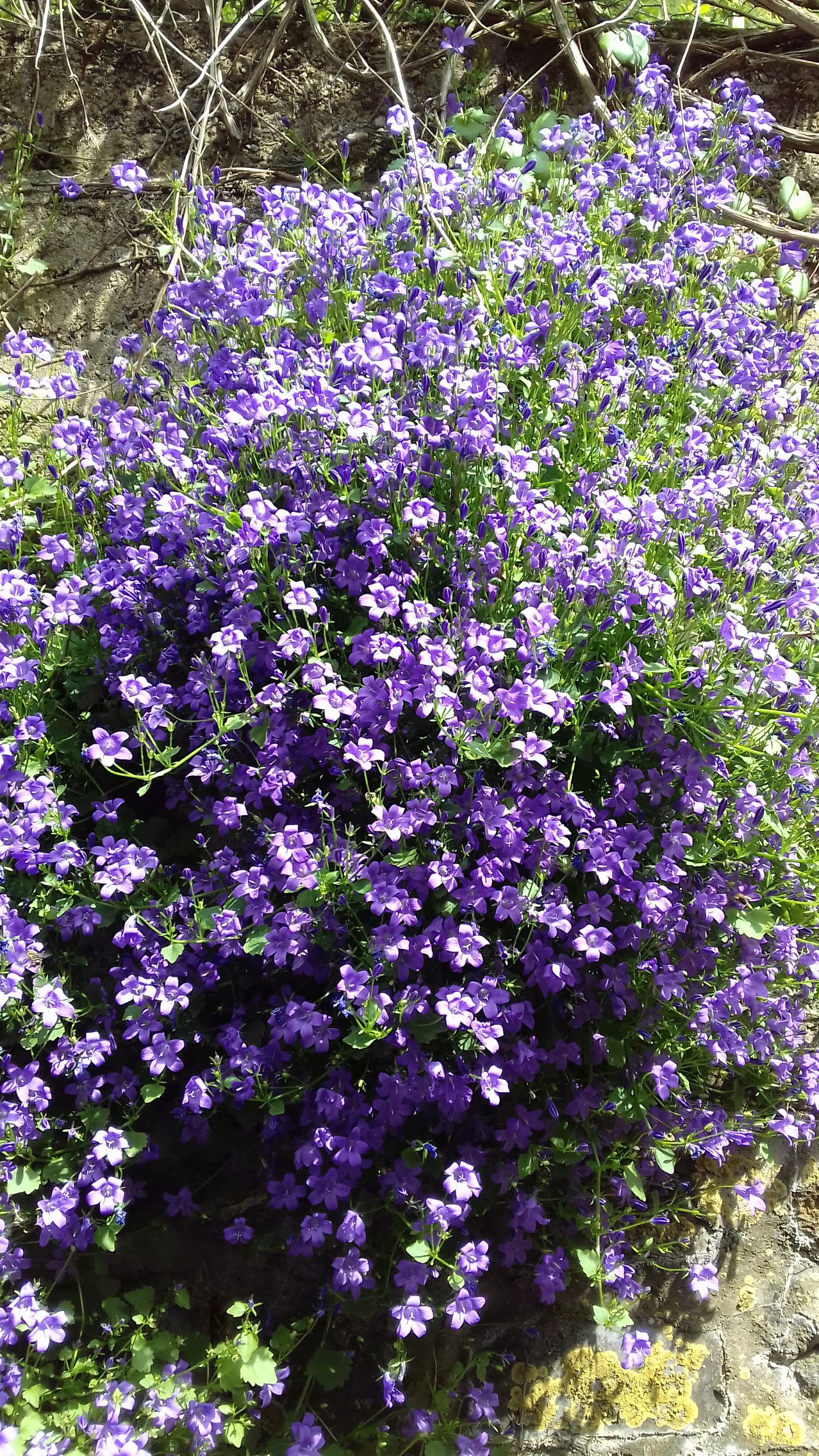 Photo n° 4 de l'avis de francoise.r fait le 18/05/2023 à 15:43